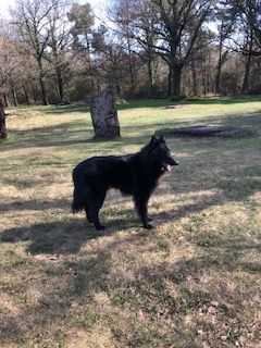Rheia 2 ans